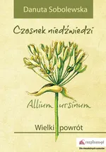 Czosnek niedźwiedzi - Allium ursinum - Danuta Sobolewska