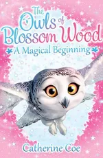 The Owls of Blossom Wood: A Magical Beginning - Catherine Coe