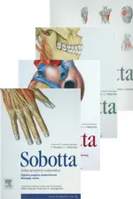 Anatomia Sobotta: Atlas anatomii Tomy 1-3 + Tablice anatomiczne PAKIET