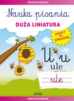 Nauka pisania Duża liniatura - Beata Guzowska