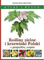 Rośliny zielne i krzewinki Polski - Alina Urbisz