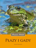 Płazy i gady. Fauna Polski - Klimaszewski Krzysztof