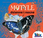 Motyle dzienne i nocne - Izabela Dziekańska