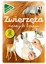 Zwierzęta naszych lasów zeszyt z kalką - Katarzyna Kopiec-Sekieta
