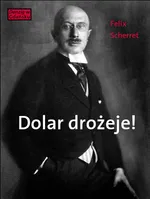 Dolar drożeje! - Felix Scherret