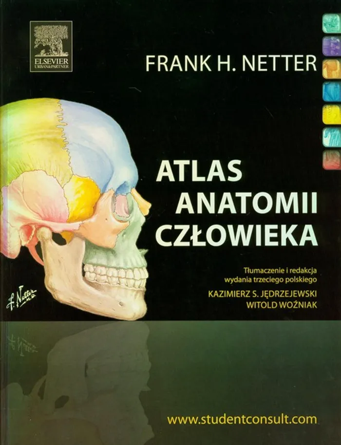 Фрэнк Неттер. Неттер атлас. Атлас анатомии человека Неттер. Фрэнк Неттер анатомия. Фрэнк неттер атлас