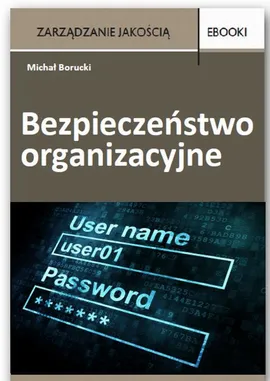 Bezpieczeństwo organizacyjne - Michał Borucki
