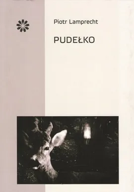 Pudełko / Stowarzyszenie Pisarzy Polskich - Piotr Lamprecht