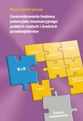 Uwarunkowania budowy potencjału innowacyjnego małych i średnich przedsiębiorstw - Maciej Zastempowski