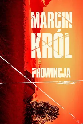 Prowincja - Marcin Król