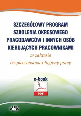Szczegółowy program szkolenia okresowego pracodawców i innych osób kierujących pracownikami w zakresie bezpieczeństwa i higieny pracy (e-book) - Praca zbiorowa