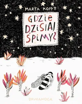 Gdzie dzisiaj śpimy? - Marta Kopyt