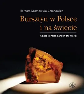 Bursztyn w Polsce i na świecie - Barbara Kosmowska-Ceranowicz