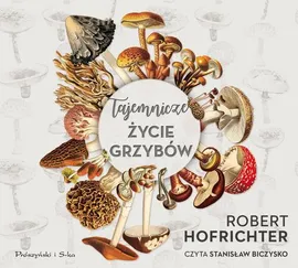 Tajemnicze życie grzybów - Robert Hofrichter