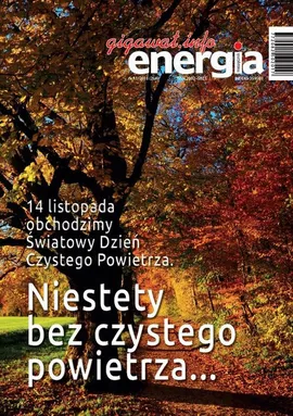 Energia Gigawat nr 11/2018 - Sylwester Wolak