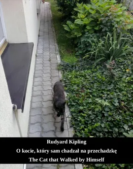 O kocie, który sam chadzał na przechadzkę. The Cat that Walked by Himself - Rudyard Kipling