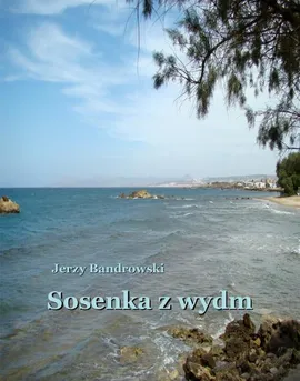 Sosenka z wydm - Jerzy Bandrowski