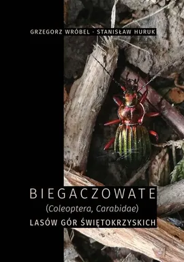 Biegaczowate (Coleoptera, Carabidae) lasów Gór Świętokrzyskich - Grzegorz Wróbel, Stanisław Huruk