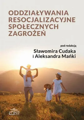 Oddziaływania resocjalizacyjne społecznych zagrożeń - Aleksander Mańka, Sławomir Cudak