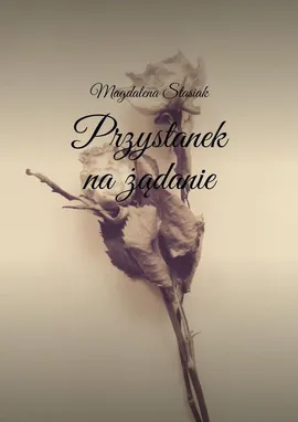 Przystanek na żądanie - Magdalena Stasiak
