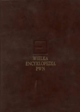Wielka encyklopedia PWN Tom 3 - Outlet