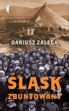 Śląsk zbuntowany - Dariusz Zalega