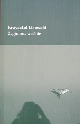 Zaginiona we śnie - Krzysztof Lisowski