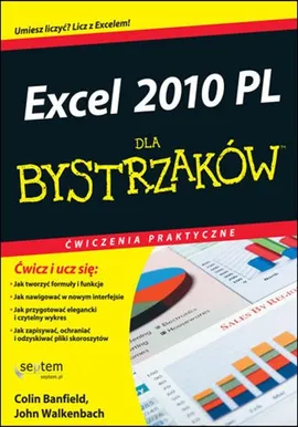 Excel 2010 PL Ćwiczenia praktyczne dla bystrzaków - Outlet - Colin Banfield, John Walkenbach