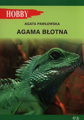 Agama błotna - Agata Pawłowska