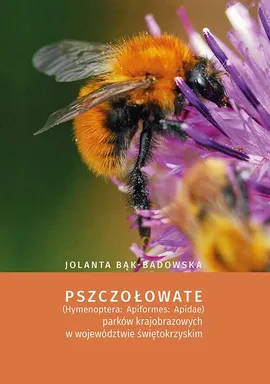 Pszczołowate (Hymenoptera: Apiformes: Apidae) parków krajobrazowych w województwie świętokrzyskim - Jolanta Bąk-Badowska