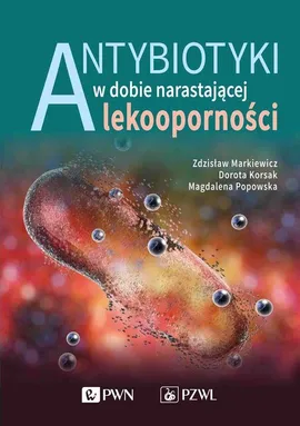 Antybiotyki w dobie narastającej lekooporności - Outlet - Dorota Korsak, Zdzisław Markiewicz, Magdalena Popowska