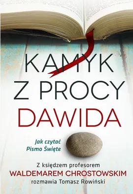 Kamyk z procy Dawida - Tomasz Rowiński, Waldemar Chrostowski