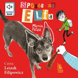 Sposób na Elfa - Marcin Pałasz