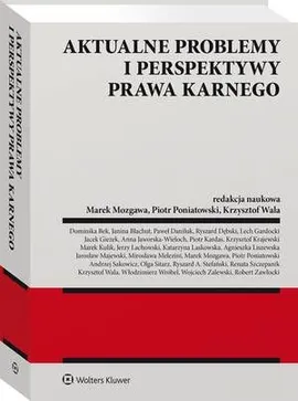 Aktualne problemy i perspektywy prawa karnego - Krzysztof Wala, Marek Mozgawa, Piotr Poniatowski