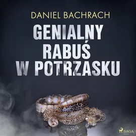 Genialny rabuś w potrzasku - Daniel Bachrach