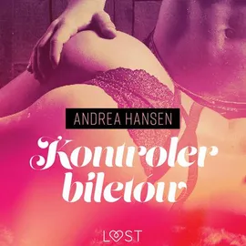 Kontroler biletów - opowiadanie erotyczne - Andrea Hansen