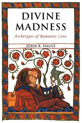 Divine Madness - John R. Haule