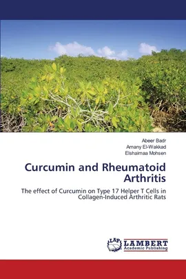 Curcumin and Rheumatoid Arthritis - Abeer Badr