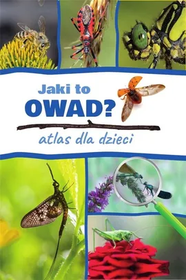 Jaki to owad? Atlas dla dzieci - Kamila Twardowska, Jacek Twardowski