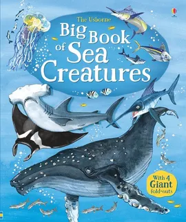 Big Book of Sea Creatures - Minna Lacey