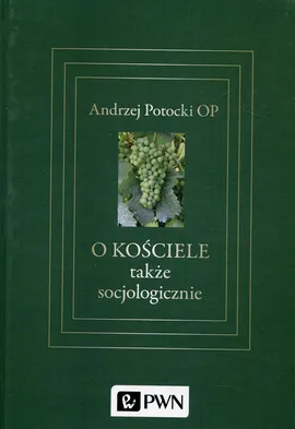 O Kościele także socjologicznie - Andrzej Potocki