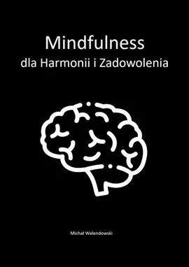 Mindfulness dla Harmonii i Zadowolenia - Michał Walendowski