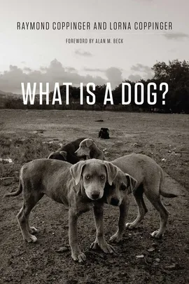 What Is a Dog? - Raymond Coppinger, Lorna Coppinger