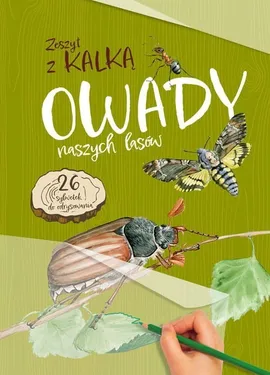 Owady naszych lasów Zeszyt z kalką - Katarzyna Kopiec-Sekieta