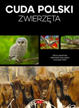 Cuda Polski Zwierzęta - Łukasz Przybyłowicz