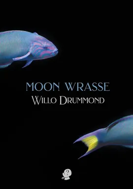 Moon Wrasse - Willo Drummond