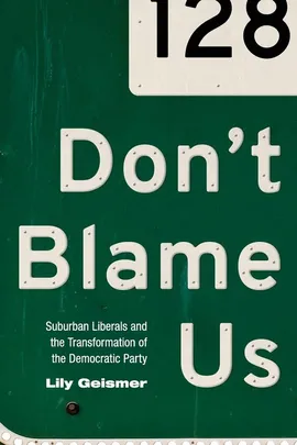 Don't Blame Us - Lily Geismer