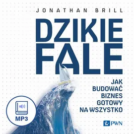 Dzikie fale - Jonathan Brill