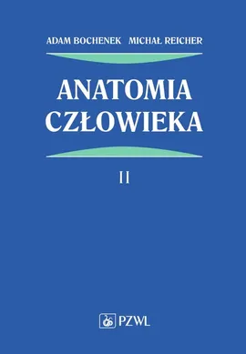 Anatomia człowieka Tom 2 - Outlet - Adam Bochenek, Michał Reicher