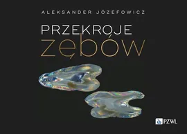 Przekroje zębów - Aleksander Józefowicz